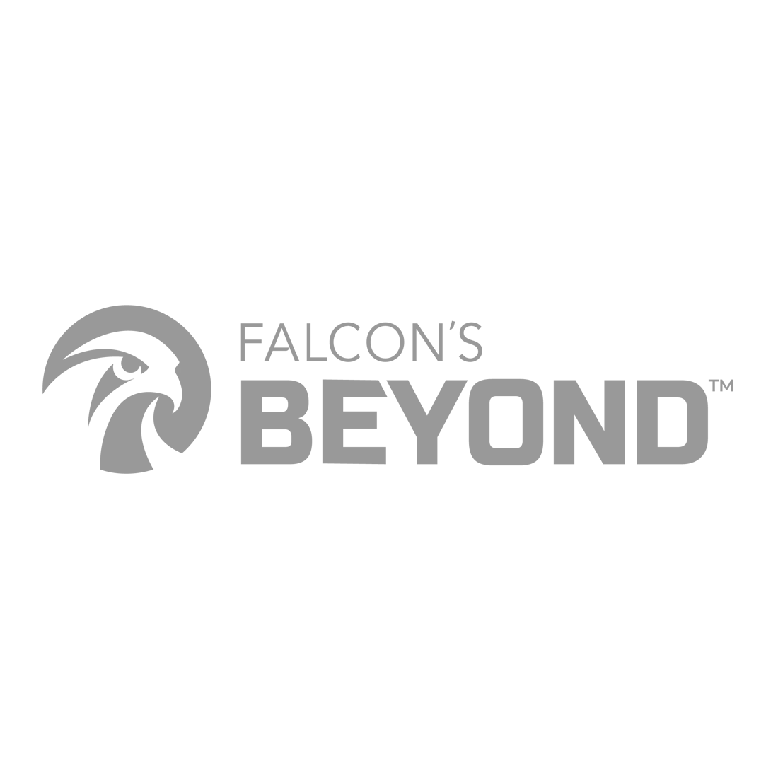 Falcon beyond